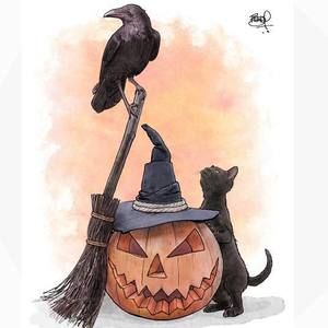 Meet your Posher, Gwen